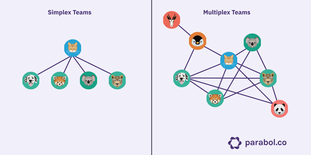 Comparison of hierarchical teams versus a network of peers